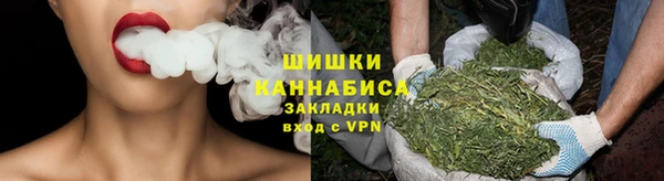 PSILOCYBIN Верхний Тагил