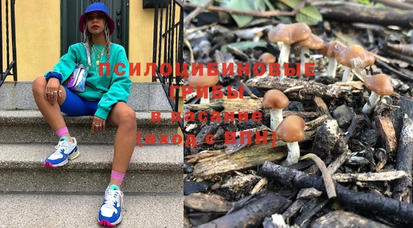 спиды Верея