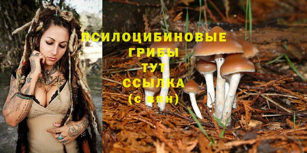 ешки Верхнеуральск