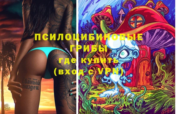 PSILOCYBIN Верхний Тагил