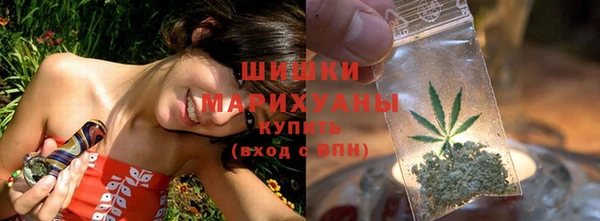 PSILOCYBIN Верхний Тагил